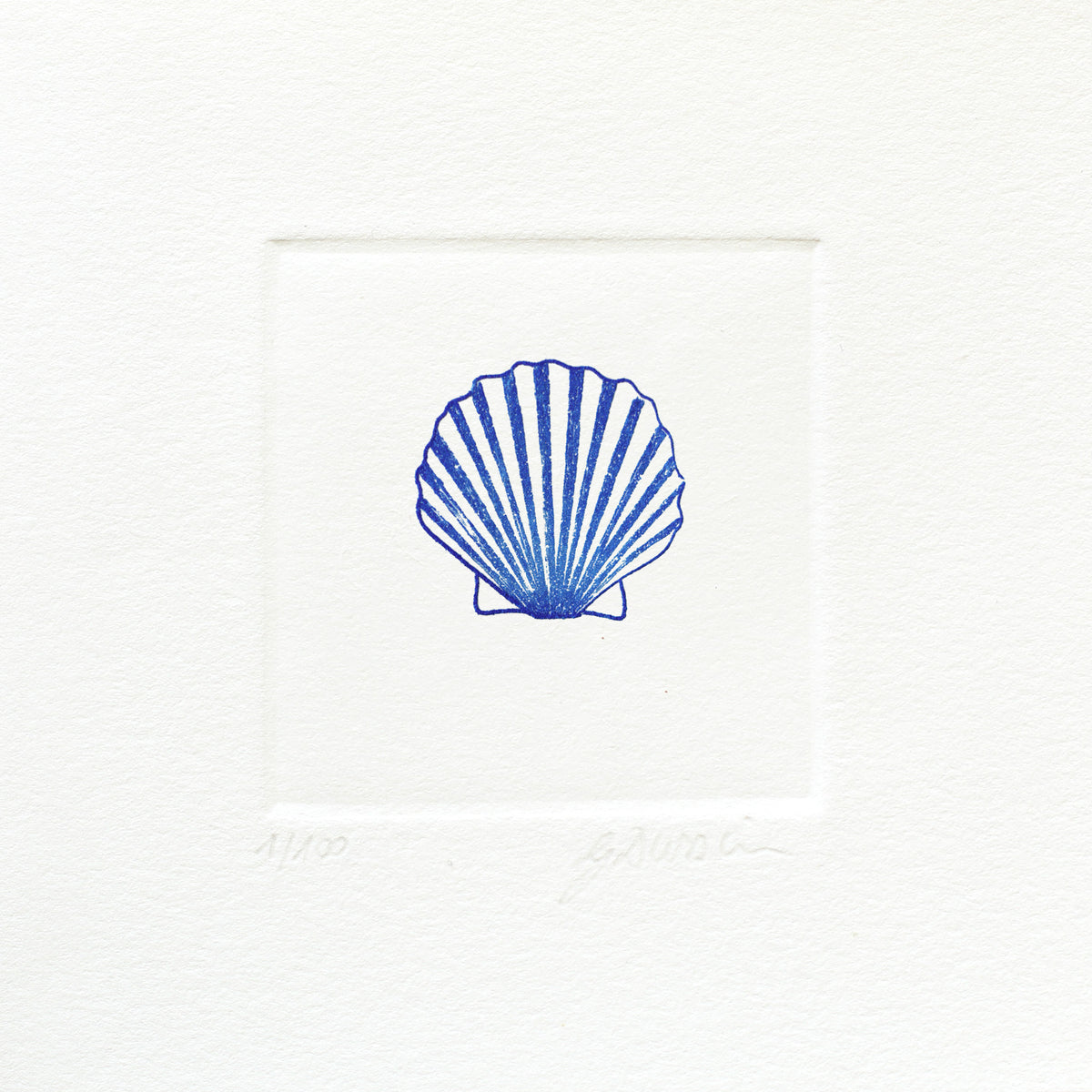 La coquille Saint-Jacques