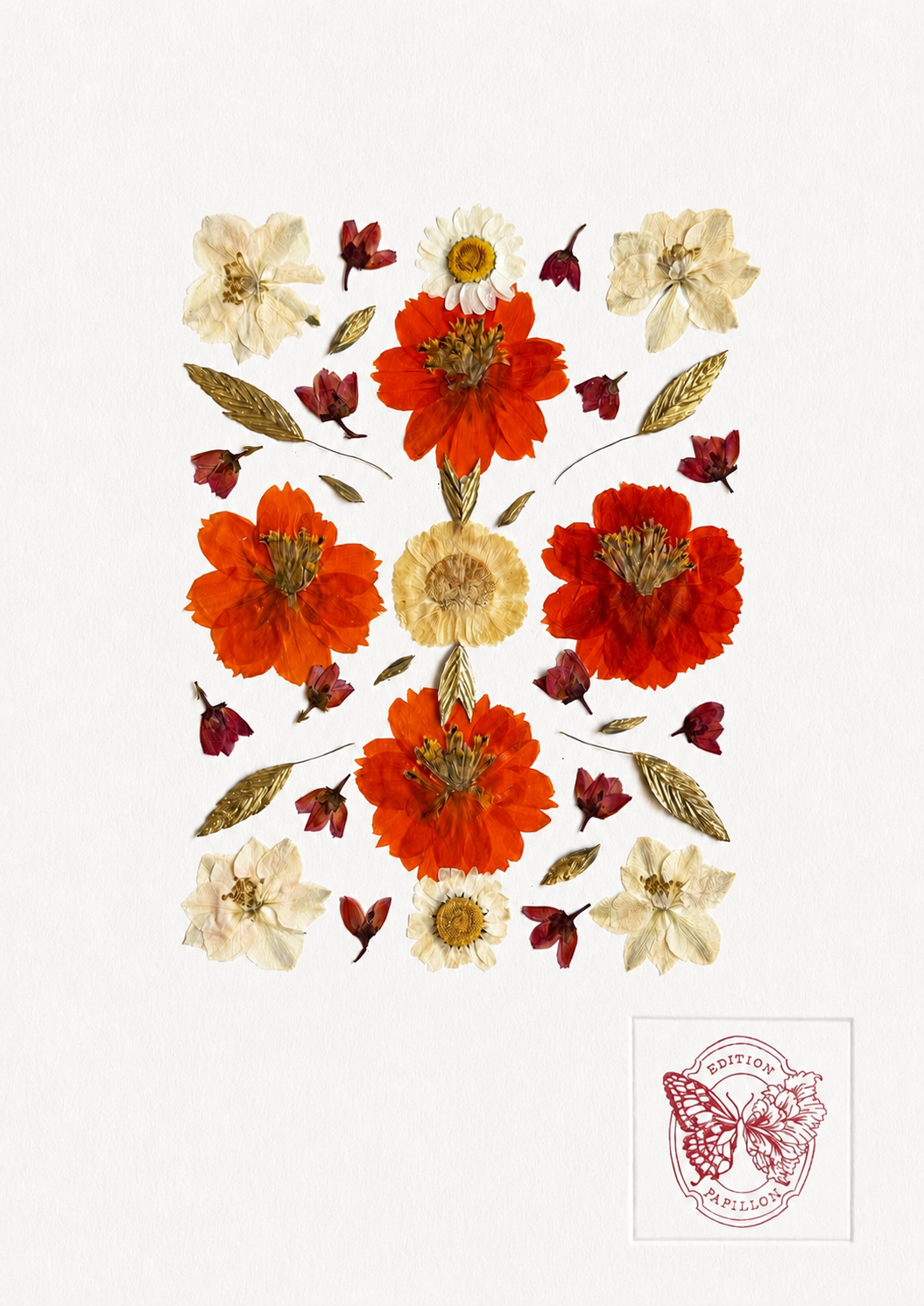 HERBIER Edition Papillon x Garance Dussin