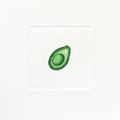 L'avocat