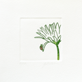 La coccinelle