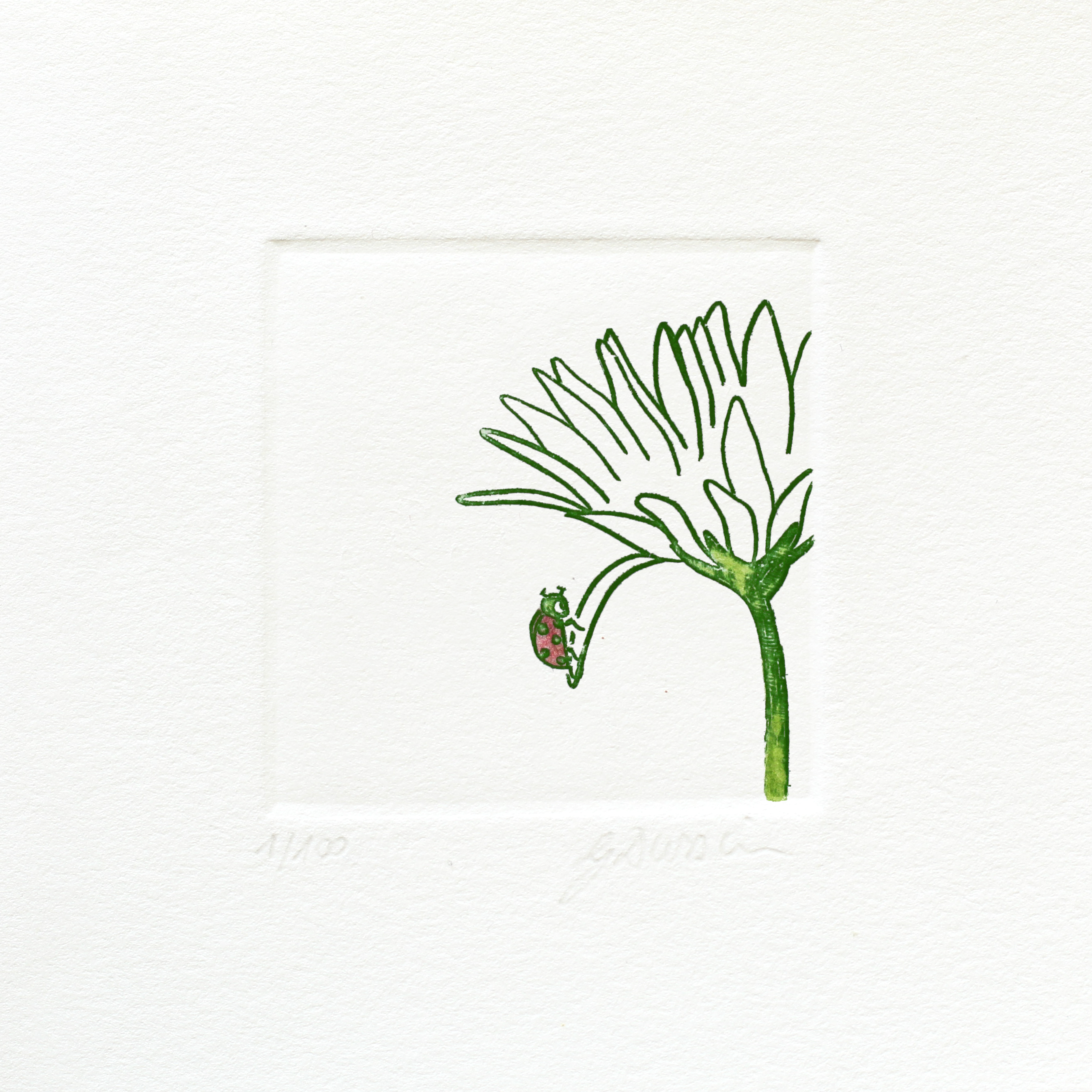 La coccinelle