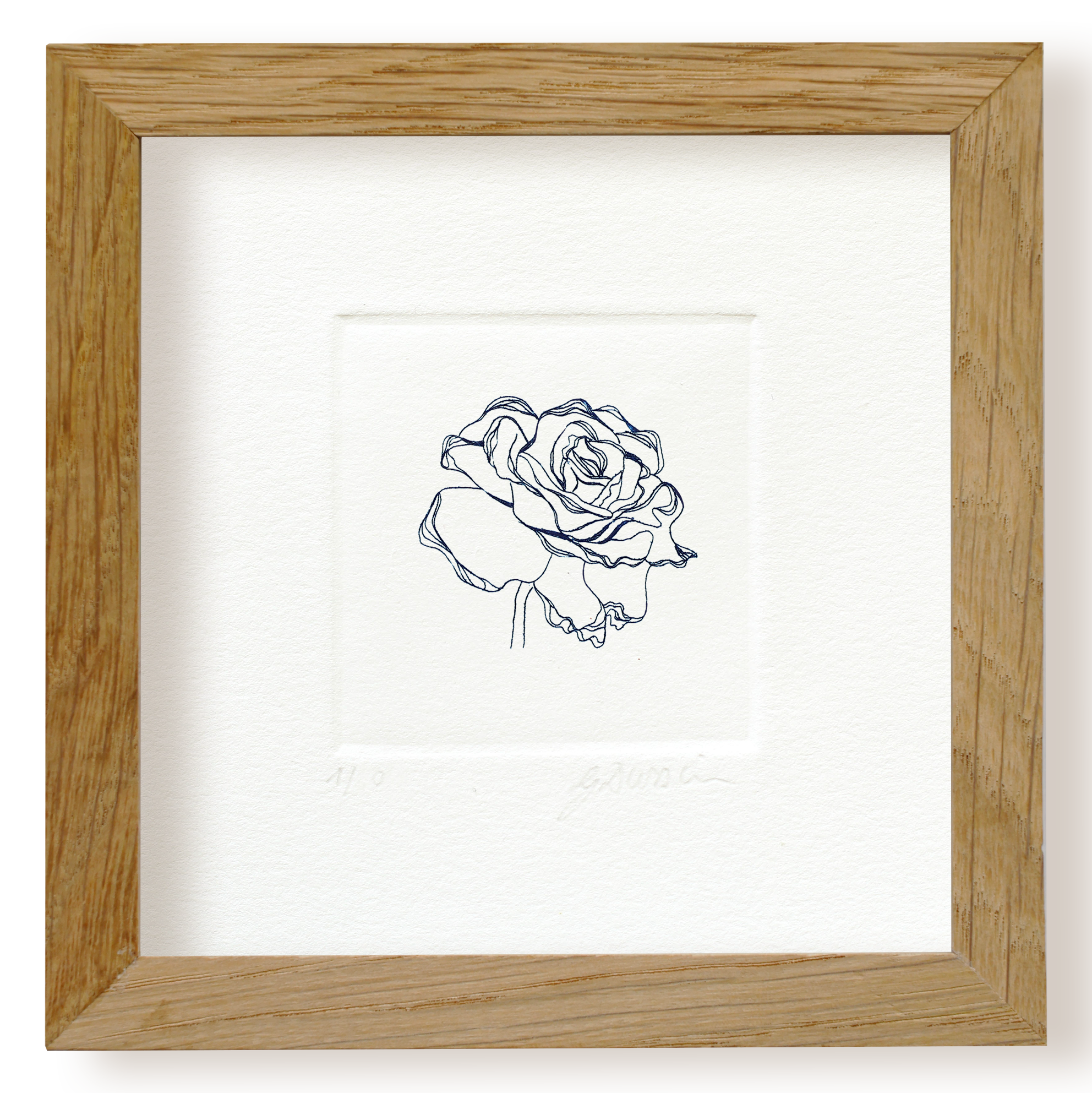 La rose