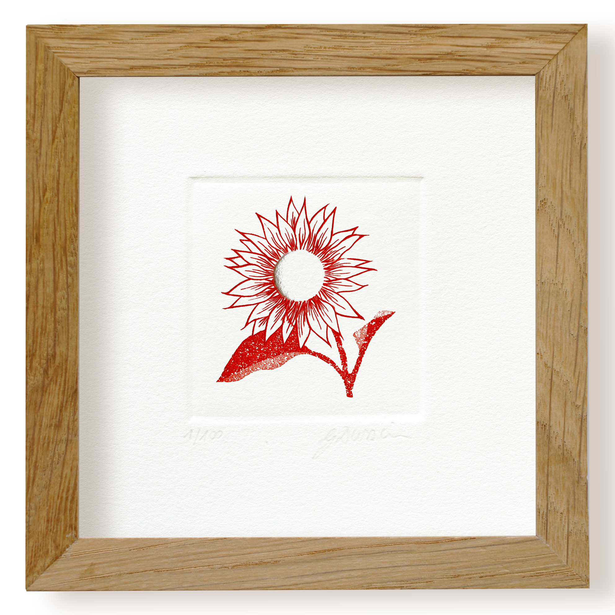 Le tournesol