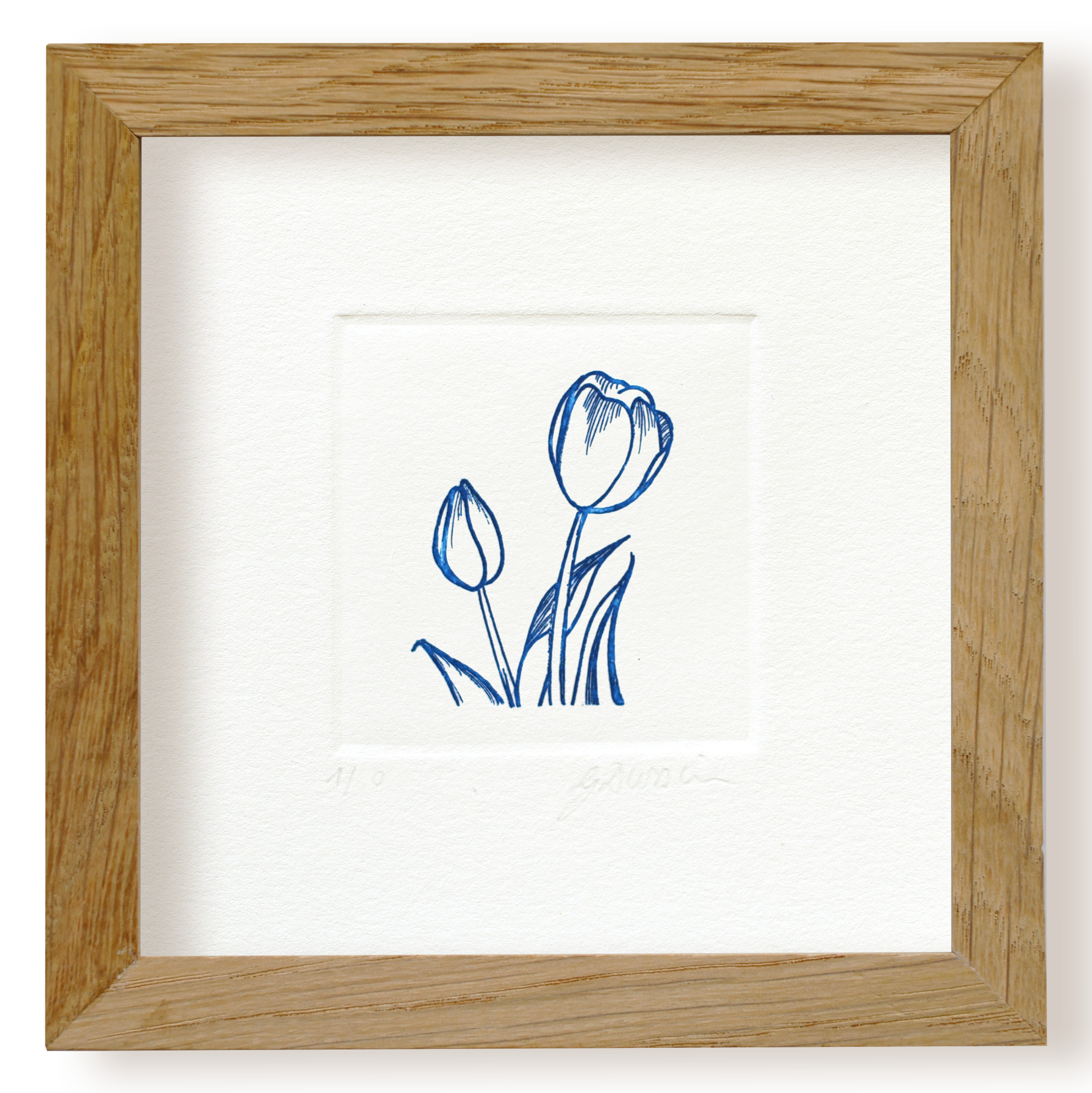 Les tulipes