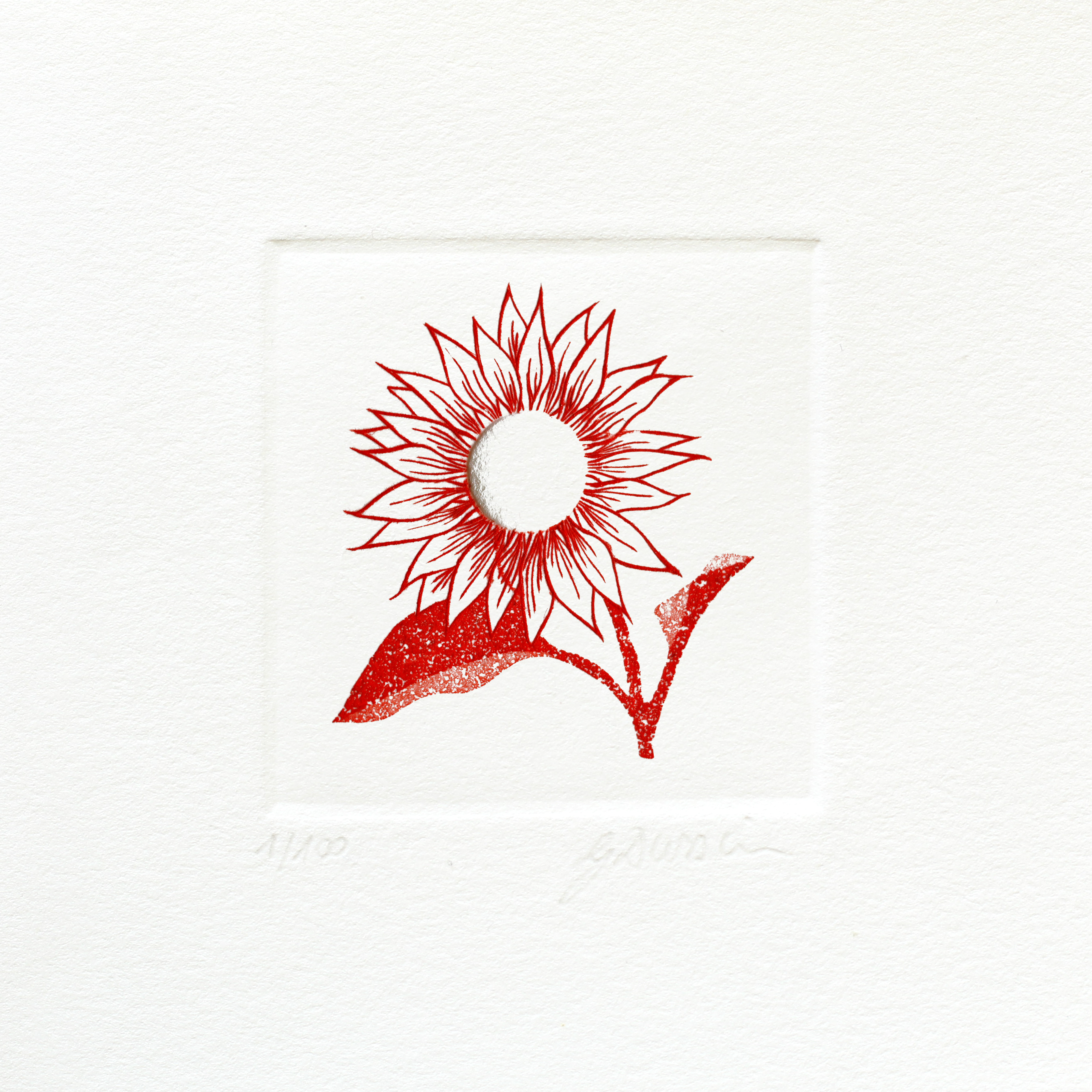 Le tournesol